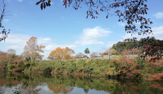 篠山城のお堀